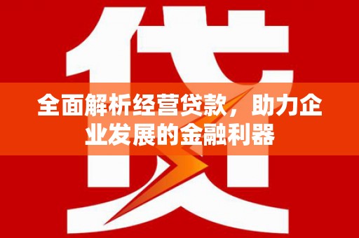 谢岗全面解析经营贷款，助力企业发展的金融利器