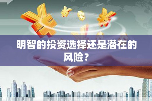 谢岗明智的投资选择还是潜在的风险？