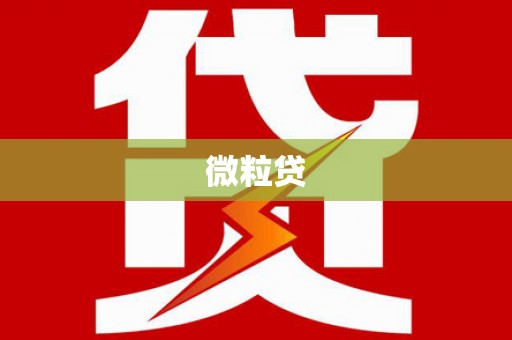 谢岗微粒贷