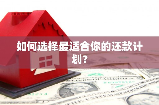 谢岗如何选择最适合你的还款计划？