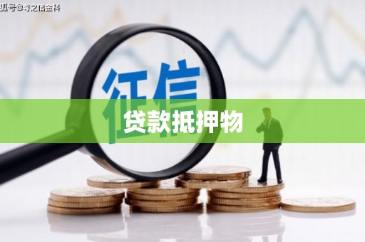 谢岗贷款抵押物