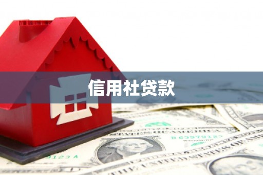 谢岗信用社贷款