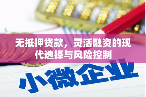 谢岗无抵押贷款，灵活融资的现代选择与风险控制