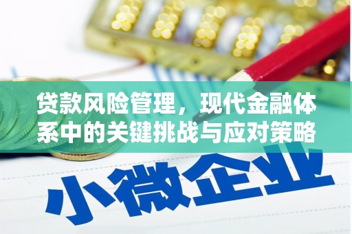 谢岗贷款风险管理，现代金融体系中的关键挑战与应对策略