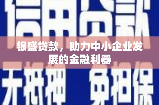 谢岗银盛贷款，助力中小企业发展的金融利器