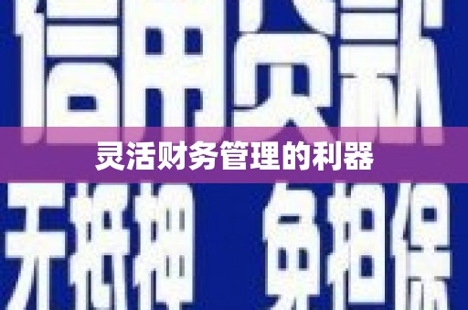 谢岗灵活财务管理的利器