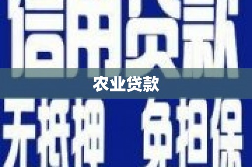 谢岗农业贷款