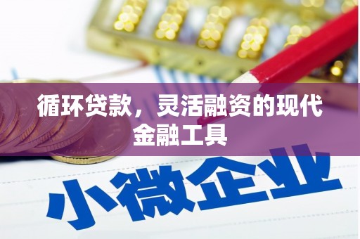 谢岗循环贷款，灵活融资的现代金融工具