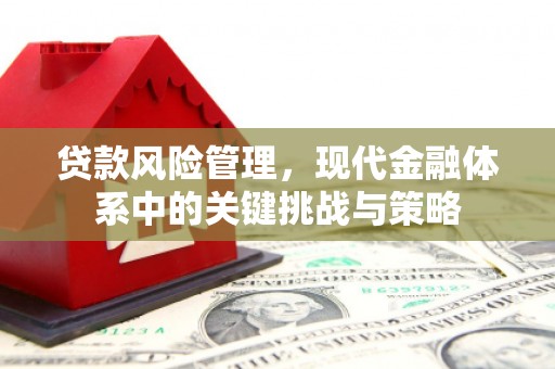谢岗贷款风险管理，现代金融体系中的关键挑战与策略