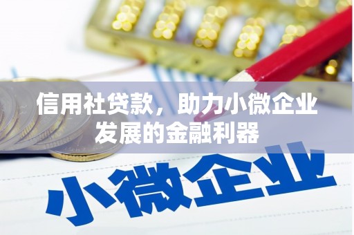谢岗信用社贷款，助力小微企业发展的金融利器