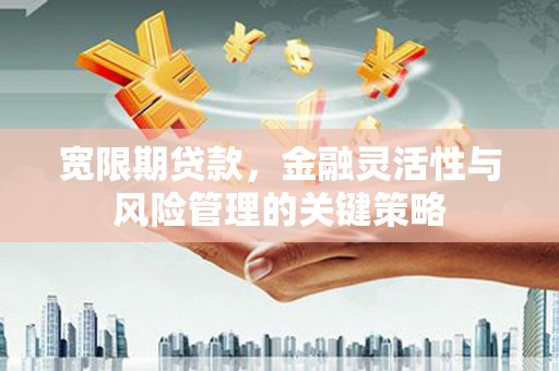 谢岗宽限期贷款，金融灵活性与风险管理的关键策略