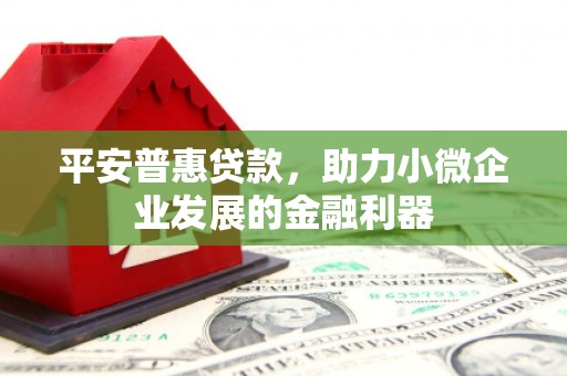 谢岗平安普惠贷款，助力小微企业发展的金融利器