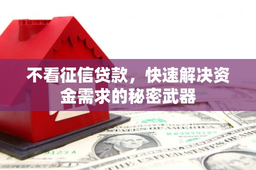 谢岗不看征信贷款，快速解决资金需求的秘密武器