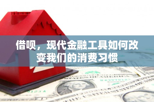 谢岗借呗，现代金融工具如何改变我们的消费习惯