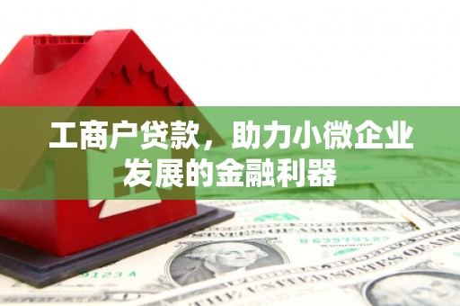 谢岗工商户贷款，助力小微企业发展的金融利器