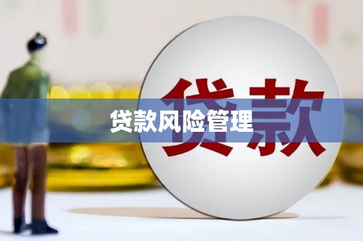谢岗贷款风险管理