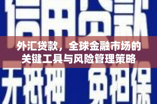 谢岗外汇贷款，全球金融市场的关键工具与风险管理策略