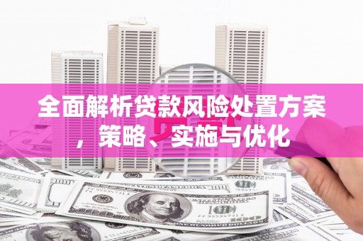谢岗全面解析贷款风险处置方案，策略、实施与优化