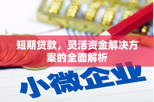 谢岗短期贷款，灵活资金解决方案的全面解析
