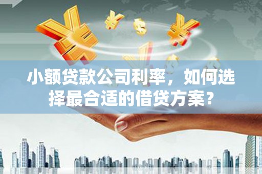谢岗小额贷款公司利率，如何选择最合适的借贷方案？