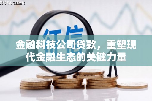 谢岗金融科技公司贷款，重塑现代金融生态的关键力量