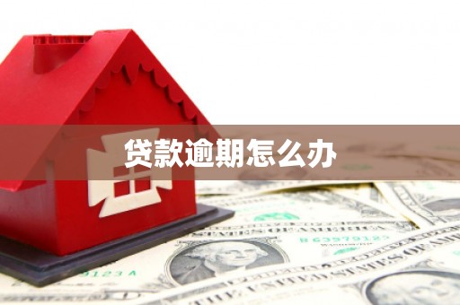 谢岗贷款逾期怎么办
