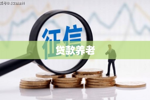 谢岗贷款养老
