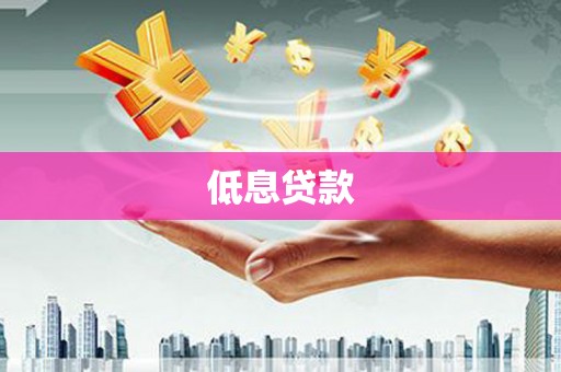 谢岗低息贷款