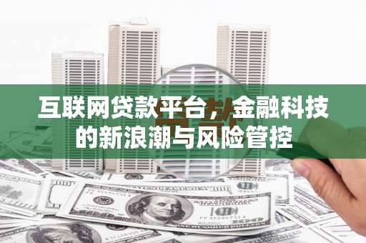 谢岗互联网贷款平台，金融科技的新浪潮与风险管控