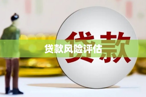 谢岗贷款风险评估