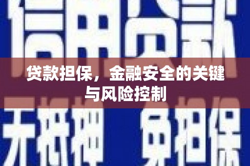 谢岗贷款担保，金融安全的关键与风险控制