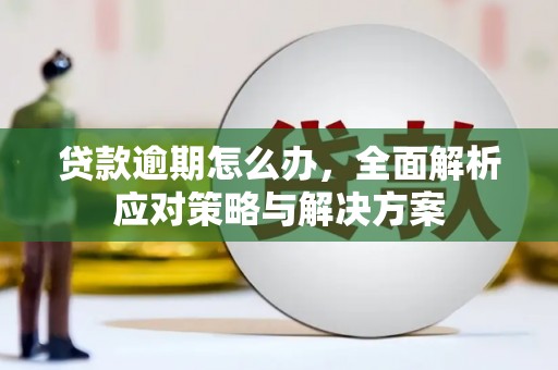 谢岗贷款逾期怎么办，全面解析应对策略与解决方案
