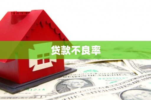 谢岗贷款不良率
