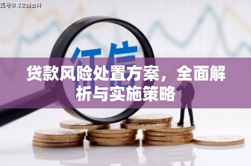 谢岗贷款风险处置方案，全面解析与实施策略